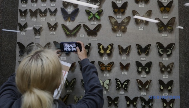 У Харкові відкрився Музей природи, пошкоджений ударами РФ у 2022 році