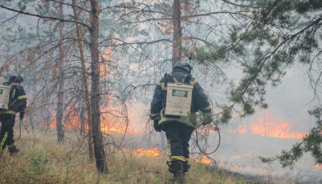 На Донеччині ліквідували масштабну лісову пожежу після російського авіаудару