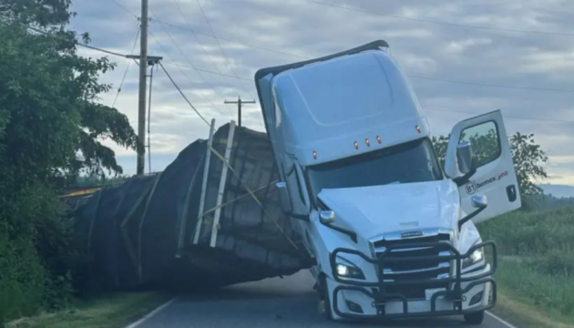 У США перекинулась вантажівка з вуликами - 250 мільйонів бджіл «втекли»