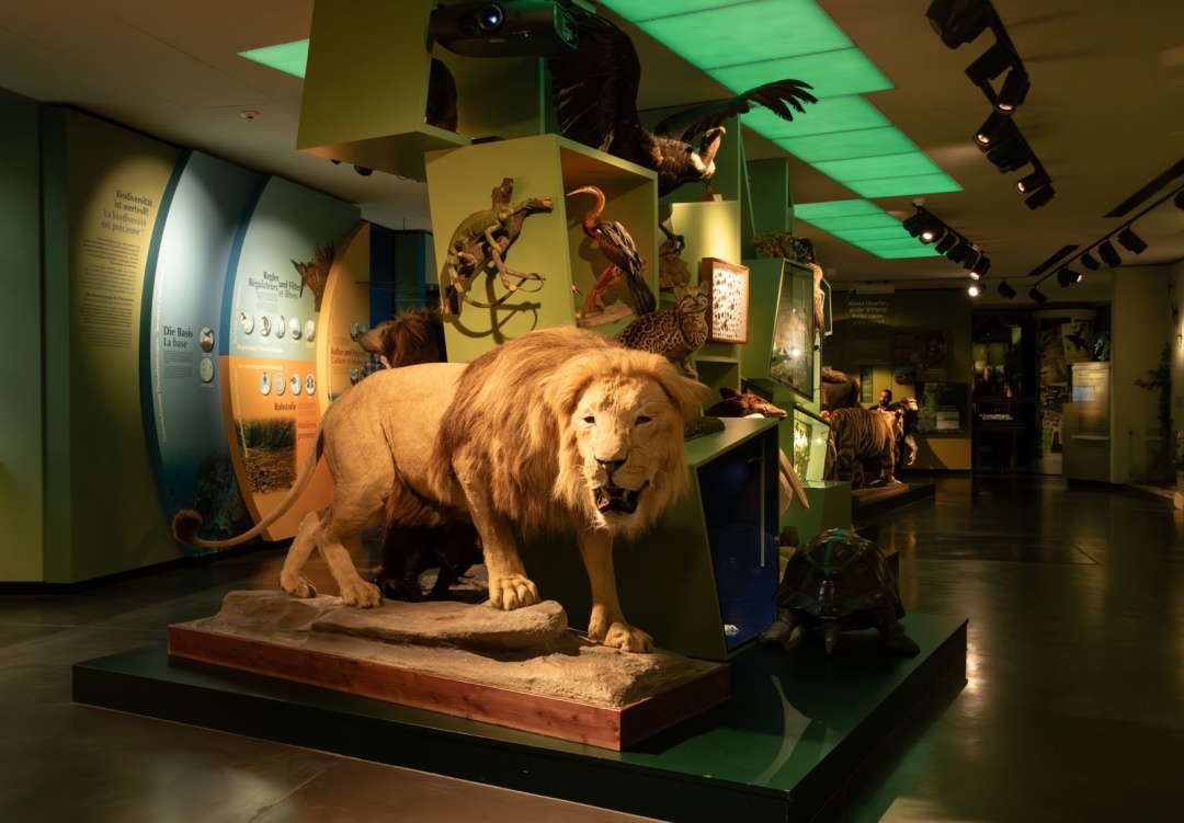 Національний музей природної історії в Люксембурзі