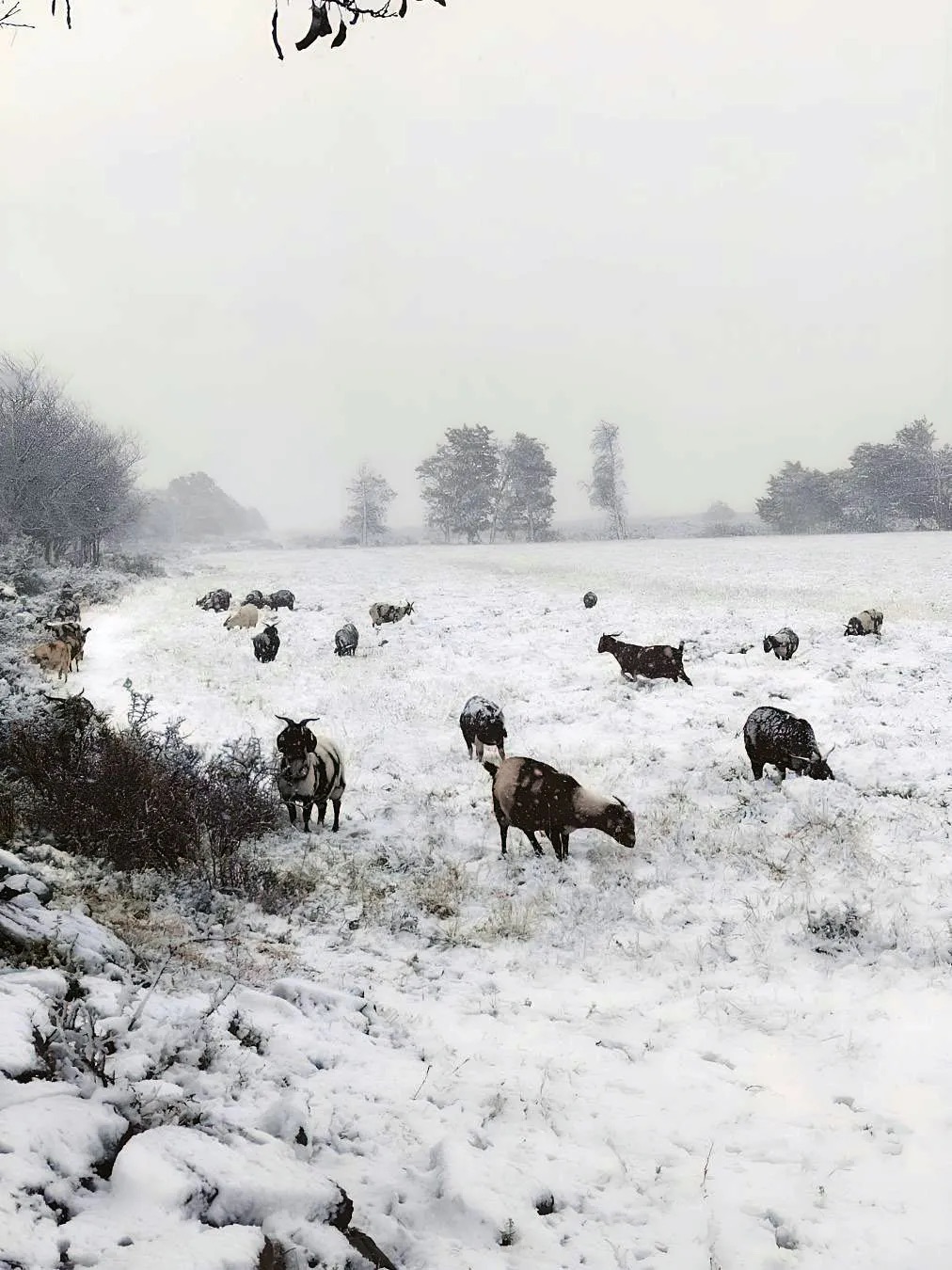 Фото: Х/Africa View Facts