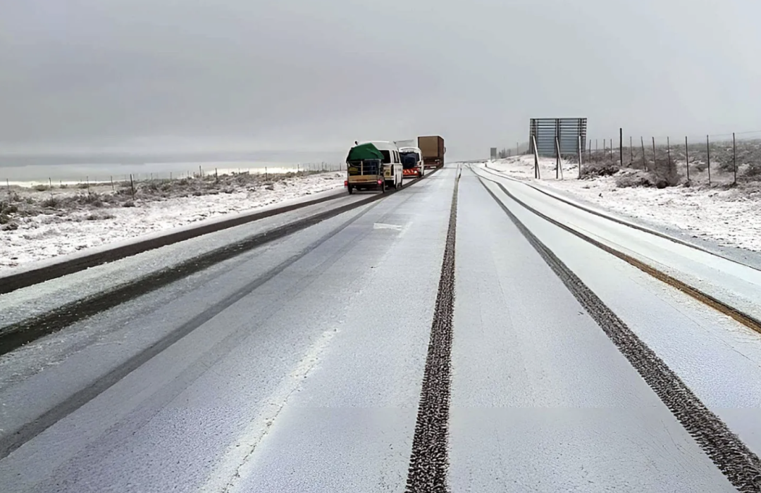 Фото: Х/Africa View Facts 