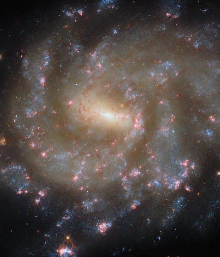 Галактика - Фото: ESA/Hubble & NASA, J. Lee, F. Belfiore. Галактика - Фото: ESA/Hubble & NASA, J. Lee, F. Belfiore.