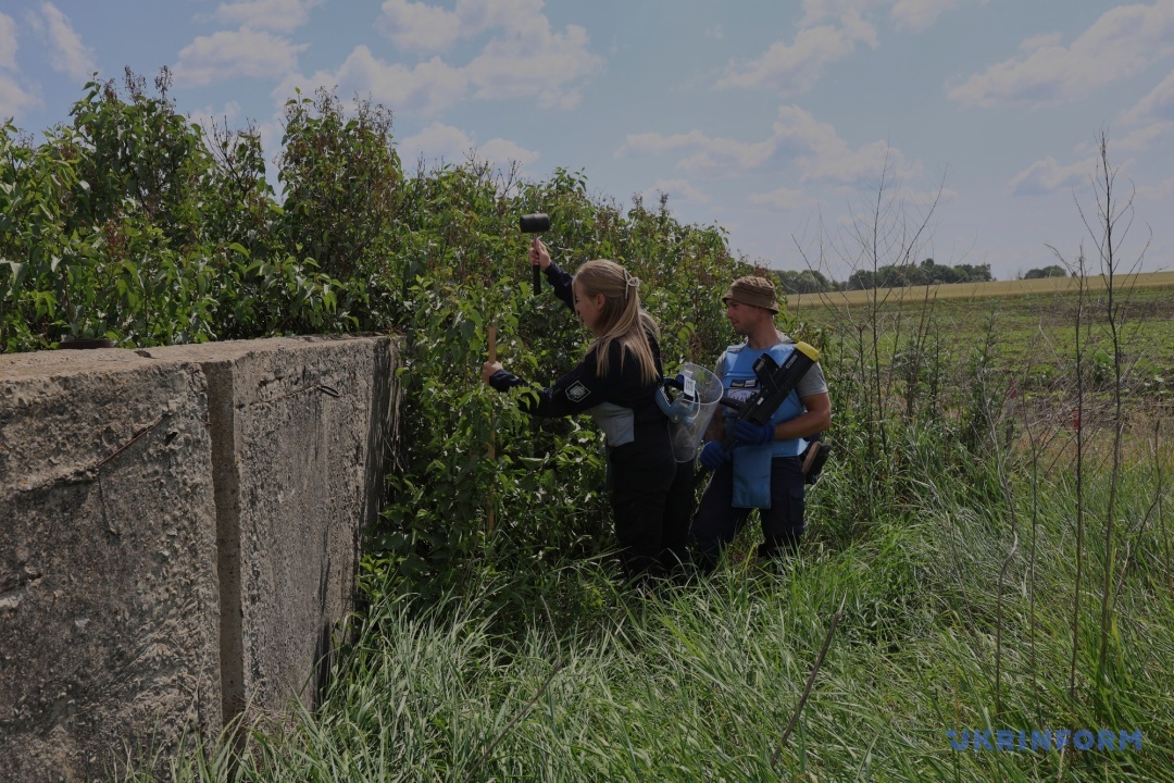 Ліана Вовок та Андрій Стельмах Ліана Вовок та Андрій Стельмах