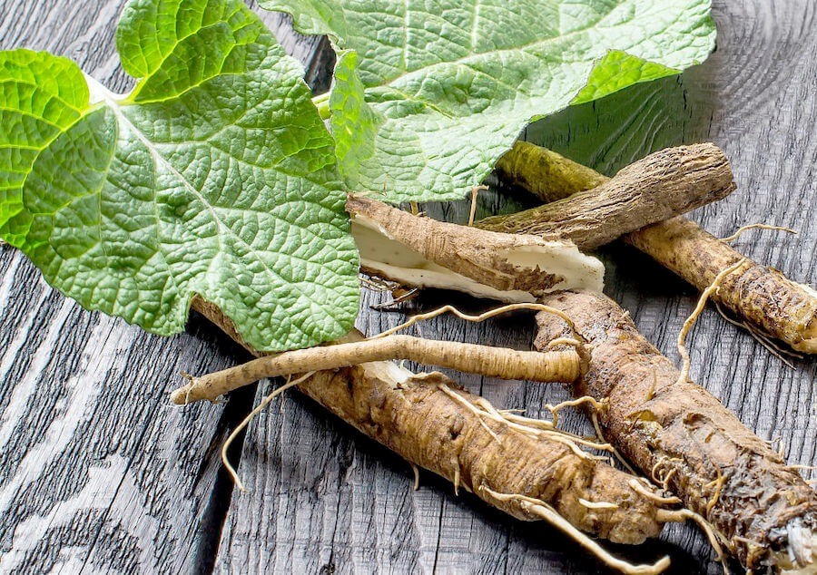 Лопух, їстівне коріння. Лопух, їстівне коріння.