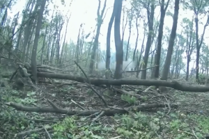 Ukrainian SOF crush enemy unit near Sumy, foil cross-border attack 