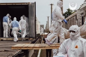 В Україну за тиждень повернули тіла 4812 загиблих громадян