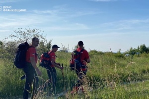 На Прикарпатті дві доби шукають 6-річного хлопчика, який зник у лісі