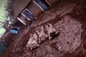 National Guard soldiers capture group of Russian invaders in Pokrovsk sector