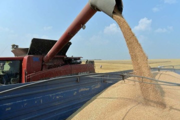 Ukraine exports 3.4M tonnes of agricultural products in July – UCAB