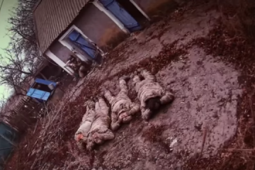 La Garde nationale ukrainienne capture un groupe d'envahisseurs russes 