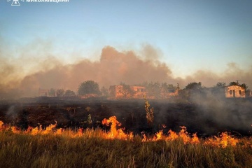 Three major fires rage in Mykolaiv, flames reach residential areas