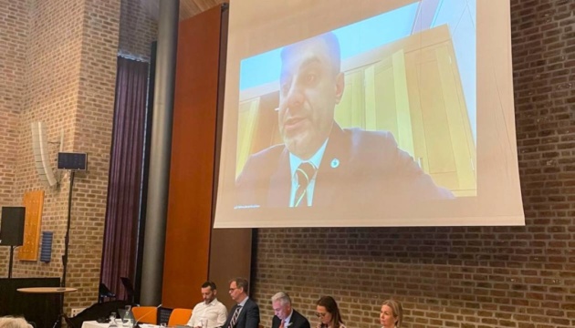 Лубінець закликав ПАРЄ сприяти звільненню українських журналістів з російського полону