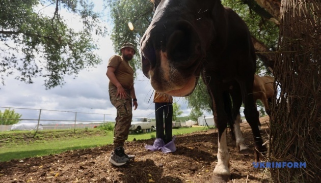 На Харківщині для нацгвардійців із бригади «Хартія» проводять іпотерапію