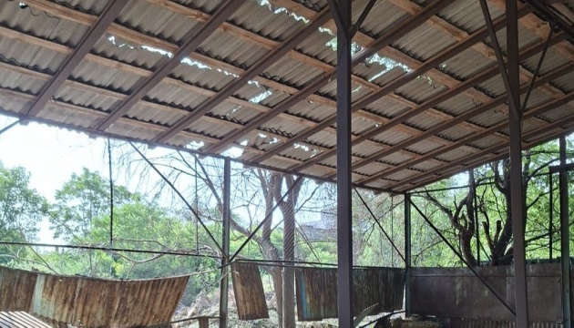 Унаслідок нічної атаки РФ в Одеському зоопарку загинула тварина