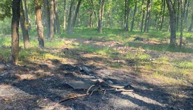 На Полтавщині загасили дві лісові пожежі після російських обстрілів На Полтавщині загасили дві лісові пожежі після російських обстрілів