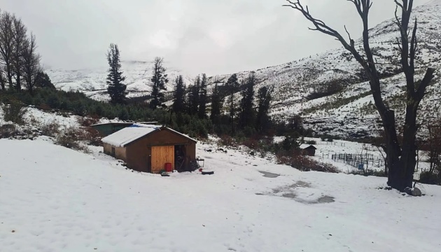 У Південній Африці випав сніг, є загиблі