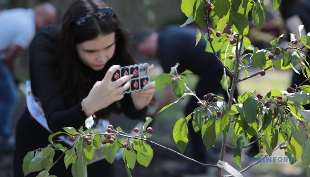 У Києві облаштовують Сквер пам’яті журналістів, які загинули під час війни