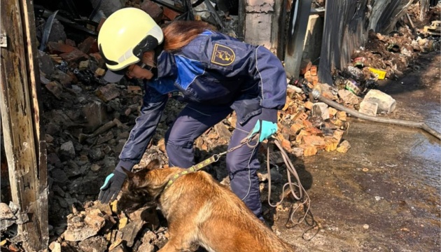 У ДСНС працюють 7 кінологічних розрахунків, навчених шукати загиблих У ДСНС працюють 7 кінологічних розрахунків, навчених шукати загиблих