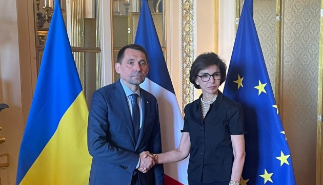 Точицький обговорив із французькою колегою боротьбу зі злочинами проти культури