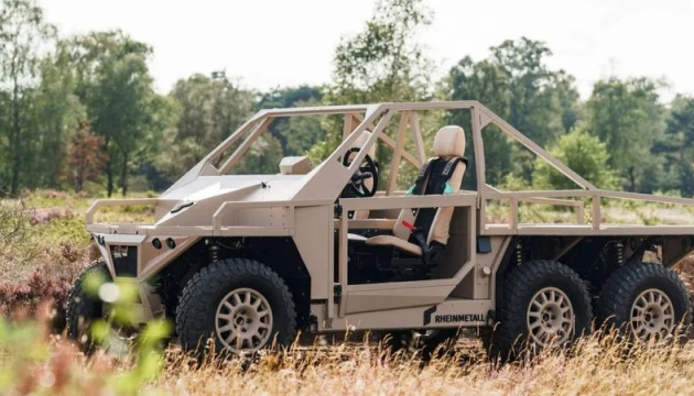 Нідерланди замовили у Rheinmetall 20 машин Ermine для Сил оборони України
