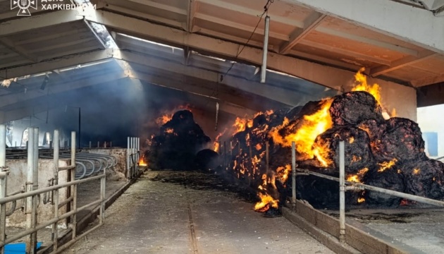 На Харківщині росіяни завдали авіаудару по сільгосппідприємству - двоє людей поранені, загинула худоба На Харківщині росіяни завдали авіаудару по сільгосппідприємству - двоє людей поранені, загинула худоба