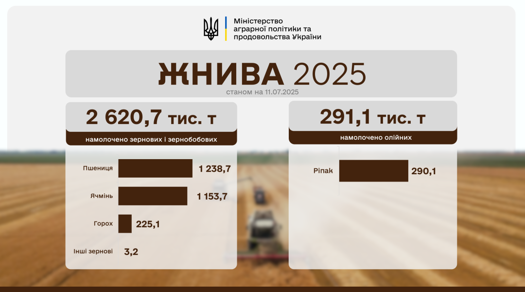 В Україні вже намолотили понад 2 мільйони тонн зерна нового врожаю