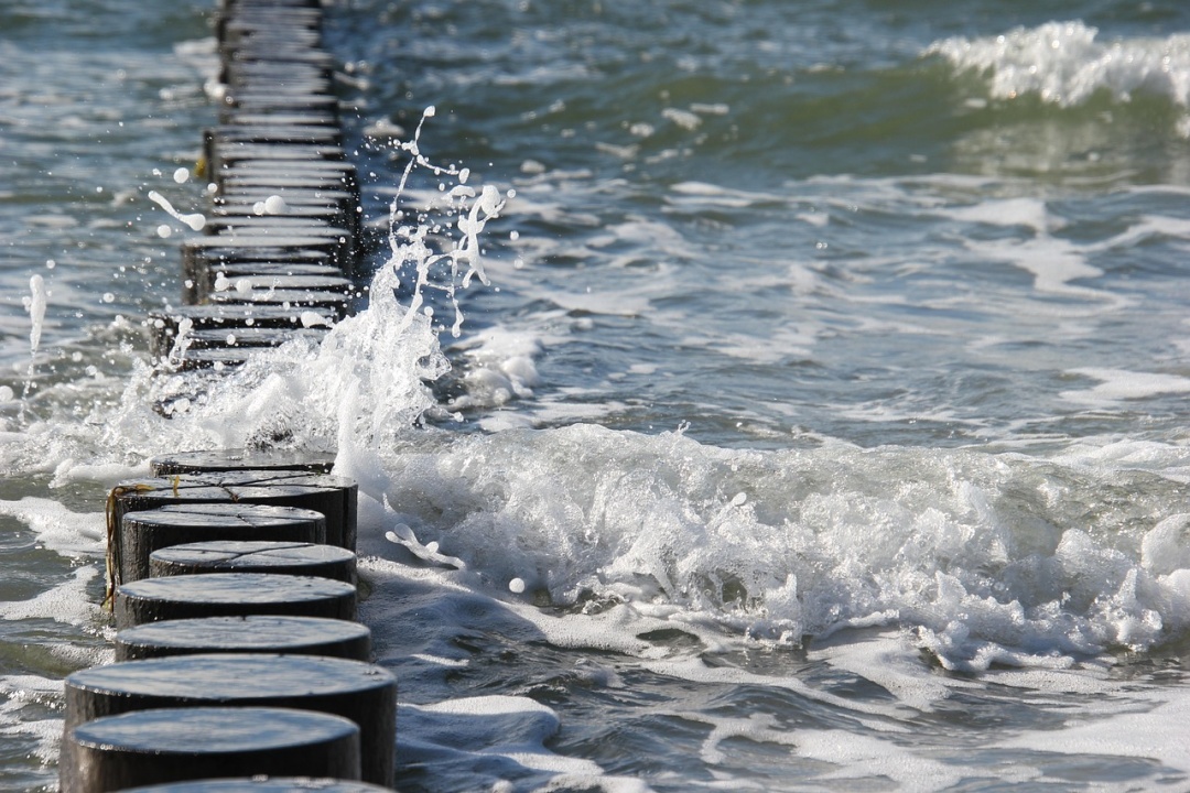Фото: pixabay Фото: pixabay