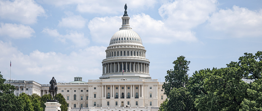 1080_460_1753862336-599