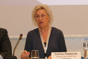OSCE PA Special Rapporteur calls for tougher sanctions on Russia to return abducted Ukrainian children