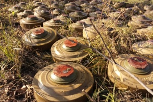 В Україні розмінували 12 тисяч гектарів сільгоспземель за державною програмою компенсації