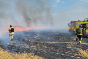 На Запоріжжі внаслідок обстрілу зайнялося поле пшениці