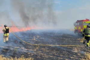 Wheat field catches fire following Russian shelling in Zaporizhzhia region