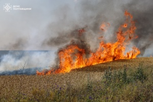 Wheat field burns down in Sumy region after drone attack