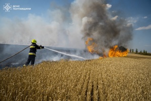 На Полтавщині вигоріло 130 гектарів зернових