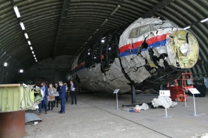 Рідні загиблих рейсу МН17 прокоментували рішення ЄСПЛ у справі «Україна та Нідерланди проти Росії»
