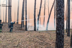 На Харківщині горить понад 110 гектарів лісу