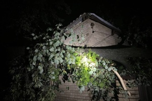 Bad weather in Kharkiv region causes six casualties, one killed