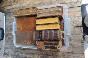 Attempts to remove Ukrainian cultural books thwarted