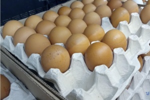 Україна торік експортувала понад два мільярди яєць