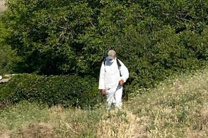 Кілька прифронтових селищ на Запоріжжі атакувала сарана