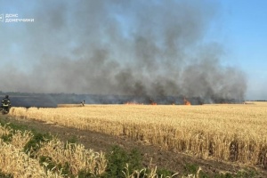 Due to shelling in Donetsk Region, 178 hectares of wheat burned down this year