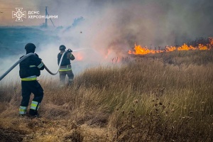 На Херсонщині росіяни скинули вибухівку з дрона на пшеничне поле