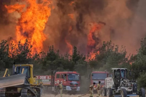 У Туреччині через лісові пожежі евакуюють села та закрили шосе