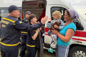 На Житомирщині у лісі знайшли зниклу 3-річну дівчинку