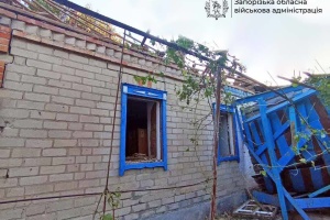 Russia launch 490 strikes on Zaporizhzhia region over past day