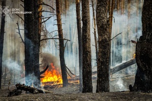 На Харківщині горів ліс