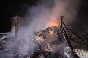 Russian strikes injure 29 people in Kharkiv Region