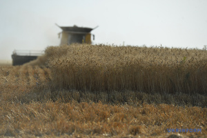 Agricultural production in Ukraine down 18.5% since start of the year