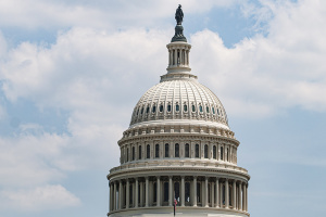 Демократи в Конгресі США почали розслідування щодо працівників DOGE, «засланих» у держструктури